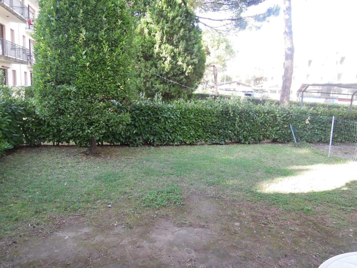 Peaceful With Garden Surrounded By Nature
