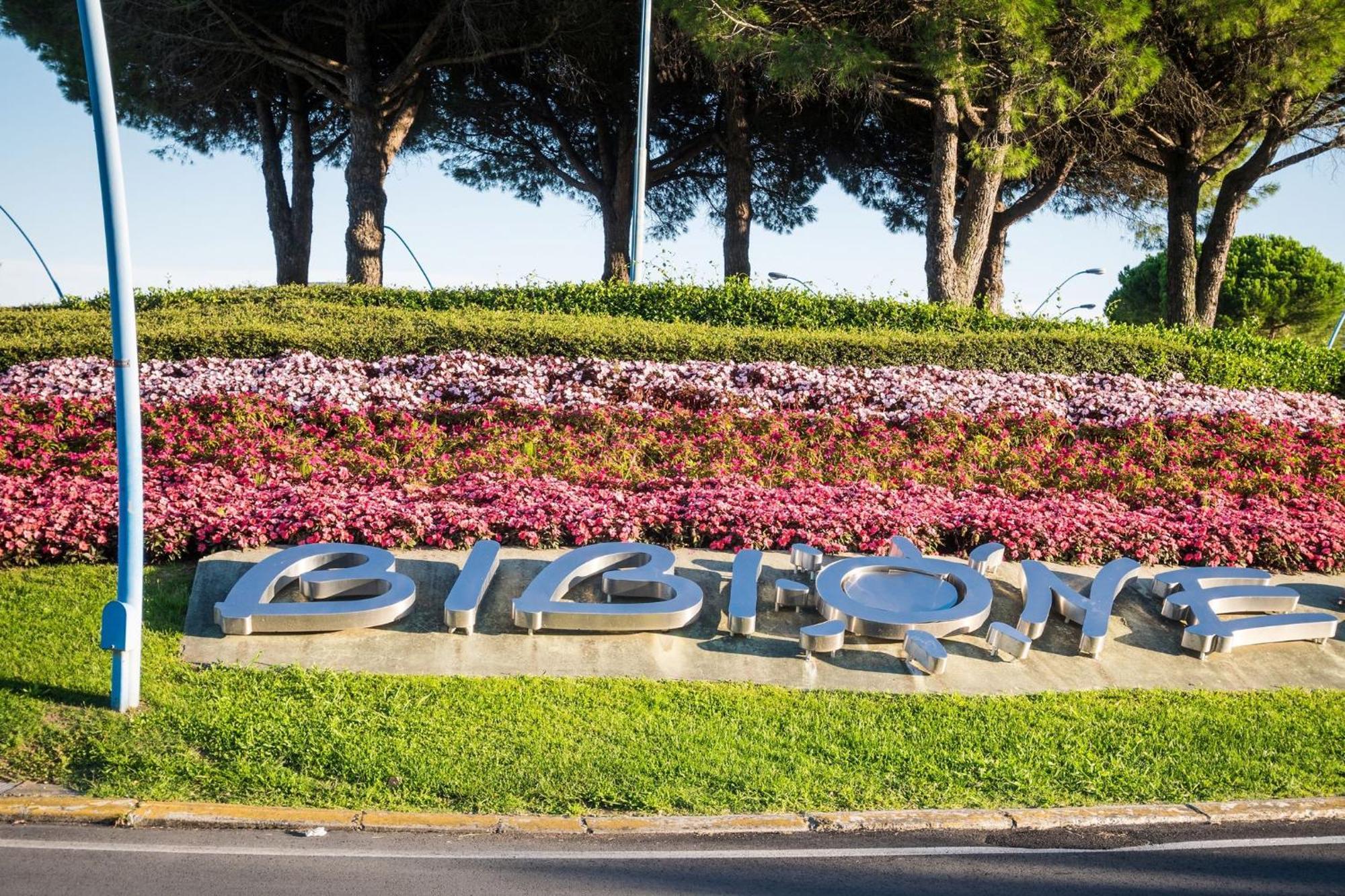 Peaceful With Garden Surrounded By Nature Bibione